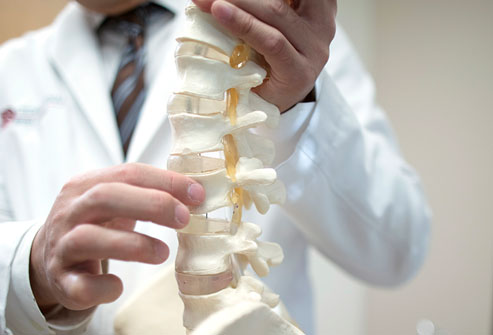 spine specialist explaining vertebrae structure using spine model
